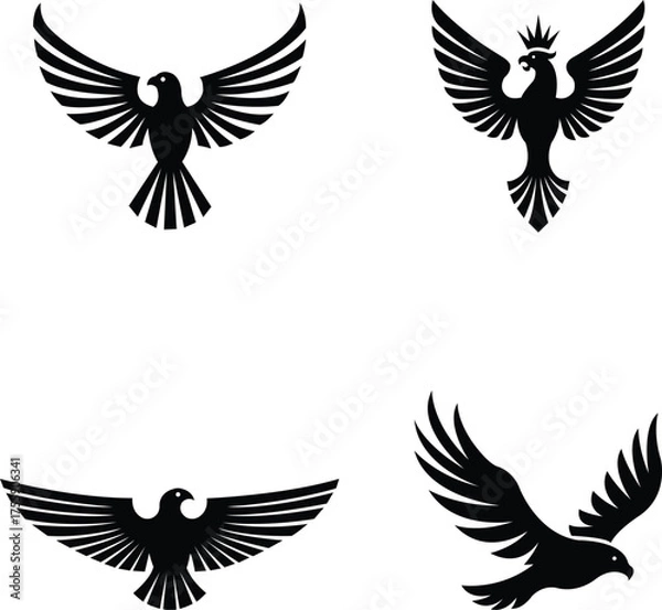 Obraz bird vector silhouette flying eagle logo design, bird vector line art decorative logo design
