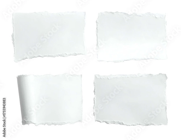 Fototapeta Four isolated torn paper pieces with ragged edges on a solid black background