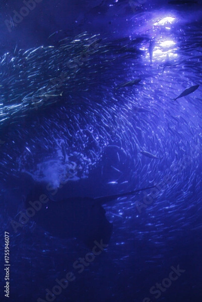 Obraz 都内の風景