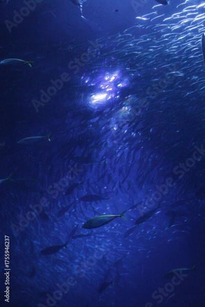 Obraz 都内の風景