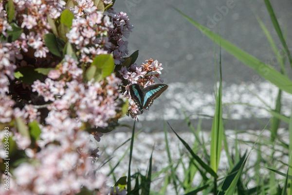 Obraz 都内の風景