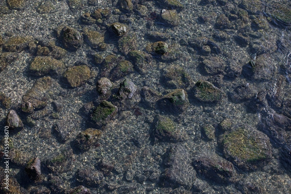 Obraz 都内の風景