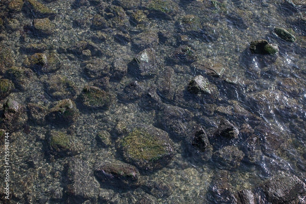 Obraz 都内の風景