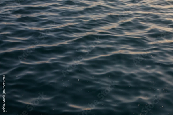 Obraz 都内の風景