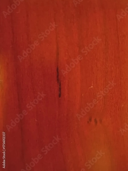 Obraz old wood texture background