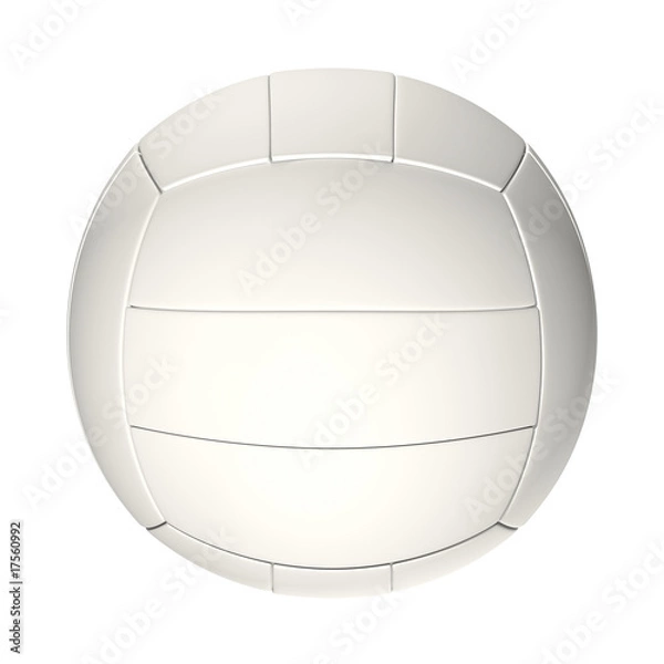Obraz Volleyball