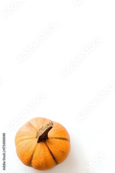 Fototapeta Small Orange Pumpkin Isolated on Bright White Minimal Background