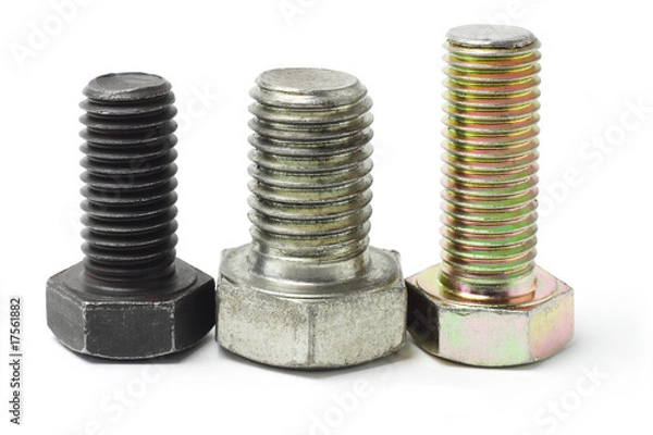Obraz Three used bolts