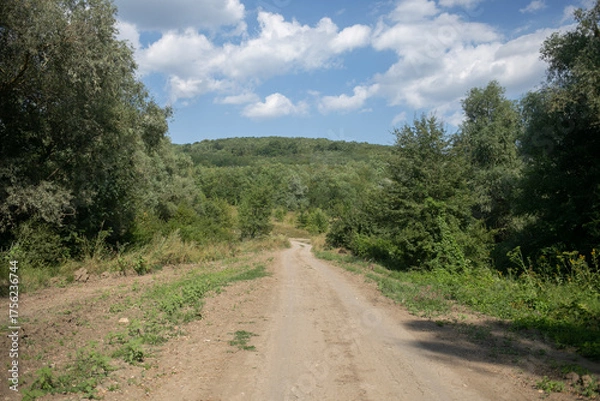 Fototapeta Narrow country road between trees
