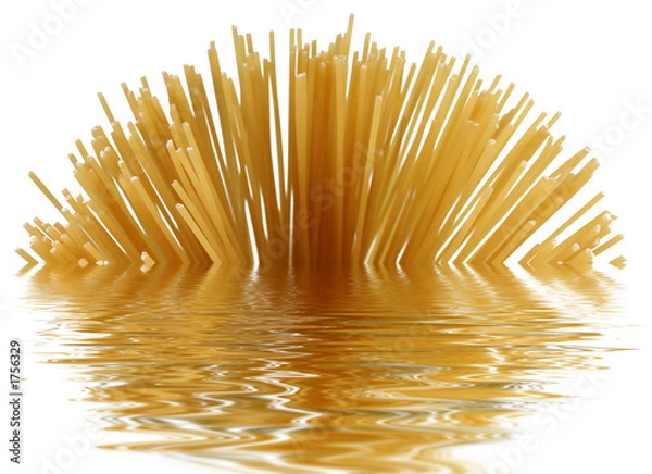 Obraz spaghetti im wasser