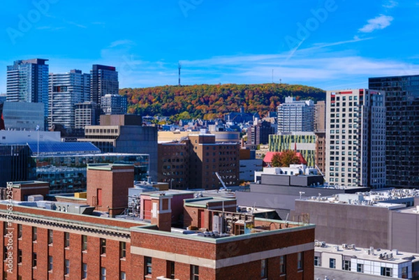 Obraz Fall colours at Mount Royal Park