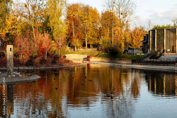 Obraz Yellow-gold autumn in a zoo, landscape