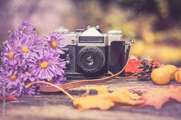 Fototapeta old camera on the background of the gifts of autumn: bouquet of lilac autumn asters, maple leaves, pinecone and quince
