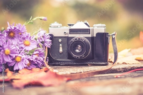Fototapeta old camera on wooden background surrounded by autumn maple leaves and a bouquet of lilac autumn asters