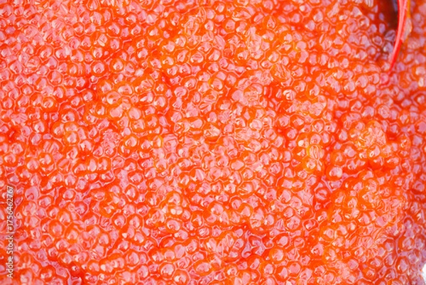 Obraz Fresh red trout caviar macro background