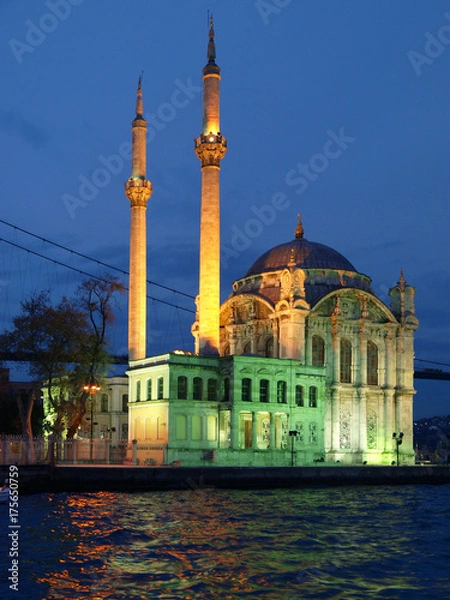 Obraz OLYMPUS DIGITAL CAMERA