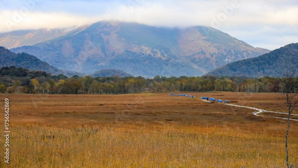 Fototapeta 秋の尾瀬、草モミジの紅葉に包まれた尾瀬ヶ原と尾瀬沼トレッキング、群馬県,日本