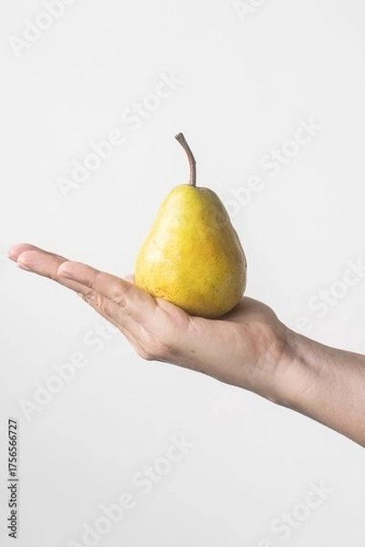 Fototapeta A hand holding a yellow pear