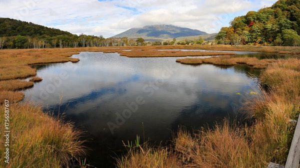 Fototapeta 秋の尾瀬、草モミジの紅葉に包まれた尾瀬ヶ原と尾瀬沼トレッキング、群馬県,日本