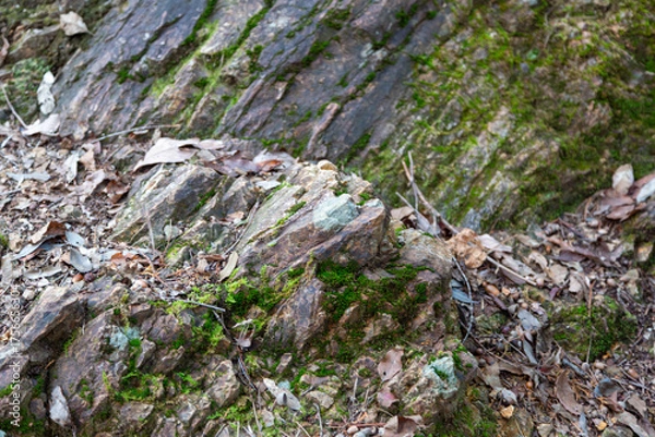 Fototapeta 硬くて鋭い岩肌