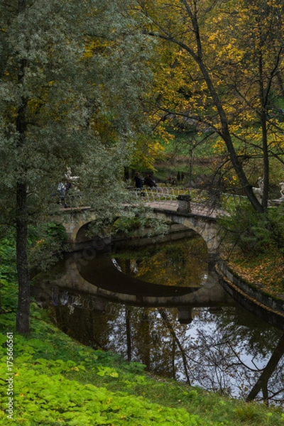 Fototapeta Autumn trees near the puddle during fall