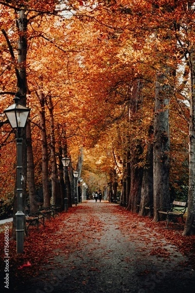 Fototapeta A colorful autumn landscape of trees and yellow-orange foliage on a park road path