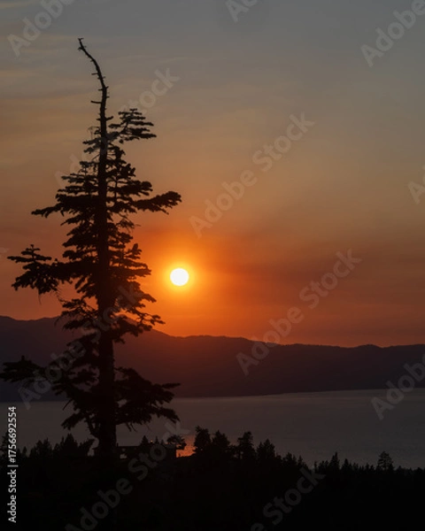 Fototapeta A dramatic sunset over Lake Tahoe, California, USA, with a tall pine tree silhouetted against the glowing orange sky copy space