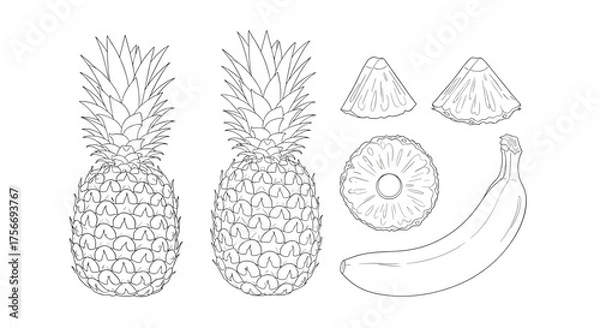 Fototapeta A collection of fresh tropical fruits including pineapples bananas and pineapple slices in a simple line art drawing.