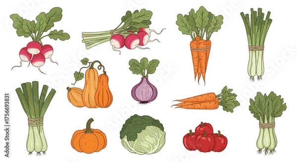 Fototapeta A vibrant collection of fresh root vegetables and gourds beautifully arranged on a plain background.