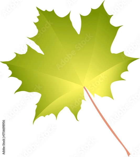 Fototapeta Hand-drawn green-yellow autumn colored single maple leaf isolated on white background. Flat and line style vector illustration. 