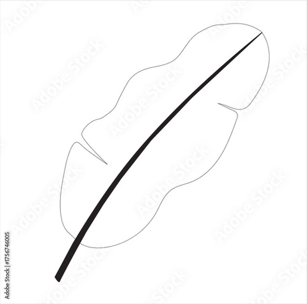 Fototapeta Banana leaf line art