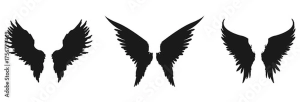 Fototapeta Three pairs of angel wings silhouettes isolated on transparent background isolated on white background