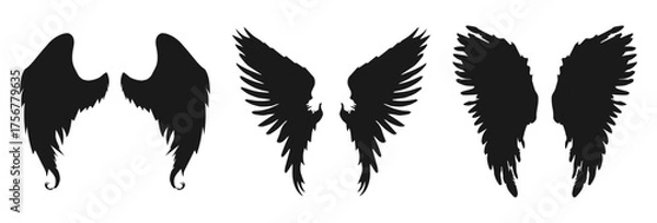 Fototapeta Three pairs of silhouette wings and angel wings isolated on transparent background isolated on white background