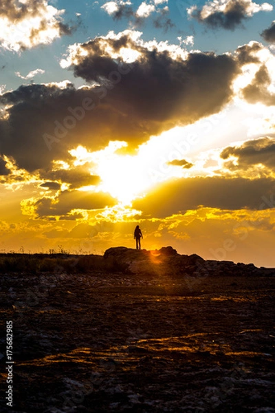 Obraz Staring Into the Sun