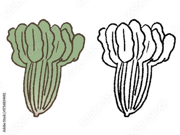 Obraz 手描きのほうれん草