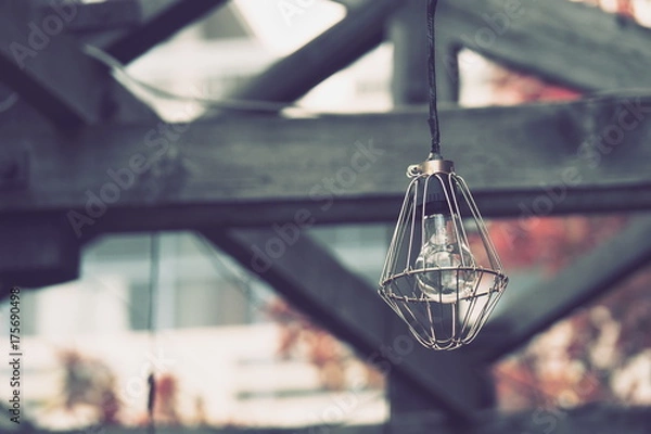 Fototapeta OLYMPUS DIGITAL CAMERA