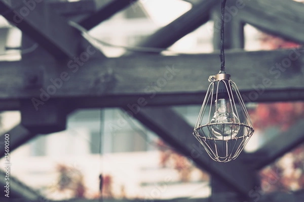 Fototapeta OLYMPUS DIGITAL CAMERA