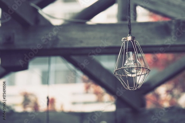 Fototapeta OLYMPUS DIGITAL CAMERA