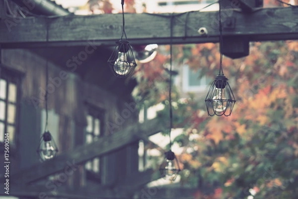 Fototapeta OLYMPUS DIGITAL CAMERA