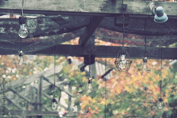 Fototapeta OLYMPUS DIGITAL CAMERA