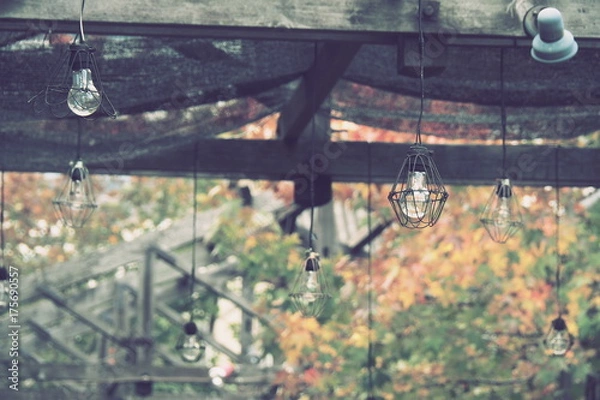 Fototapeta OLYMPUS DIGITAL CAMERA