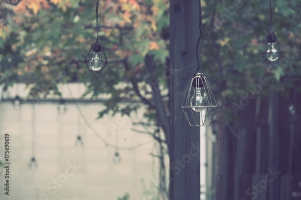 Fototapeta OLYMPUS DIGITAL CAMERA