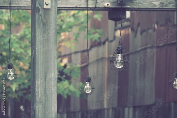 Fototapeta OLYMPUS DIGITAL CAMERA