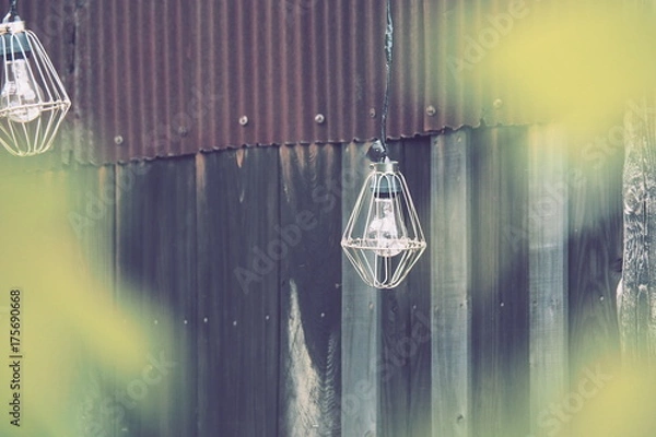 Fototapeta OLYMPUS DIGITAL CAMERA