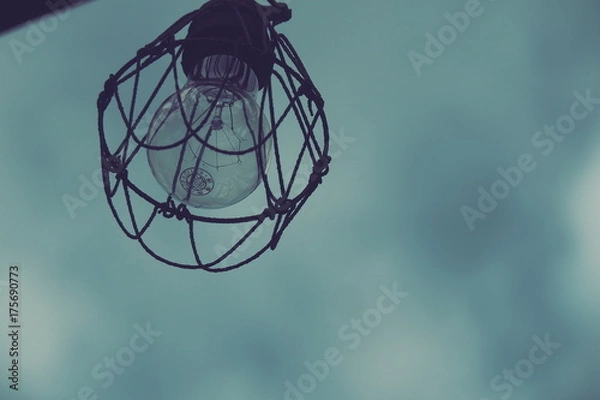 Fototapeta OLYMPUS DIGITAL CAMERA