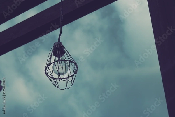 Fototapeta OLYMPUS DIGITAL CAMERA