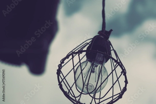 Fototapeta OLYMPUS DIGITAL CAMERA