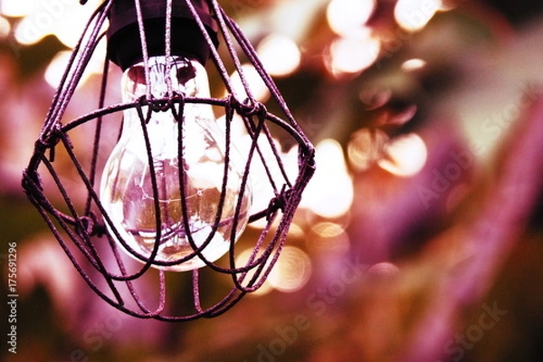 Fototapeta OLYMPUS DIGITAL CAMERA