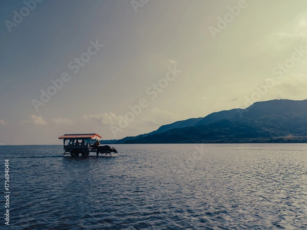 Obraz 由布島と牛車