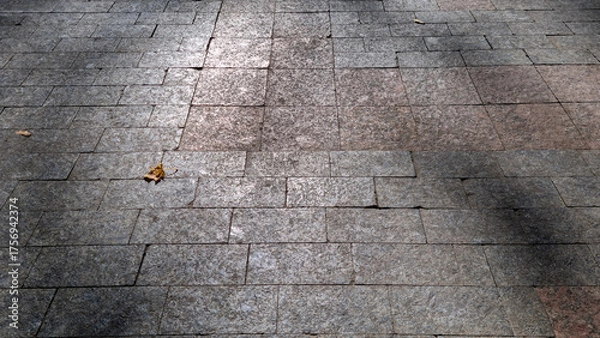 Fototapeta Dry autumn leaves on textured stone pavement with rectangular tiles